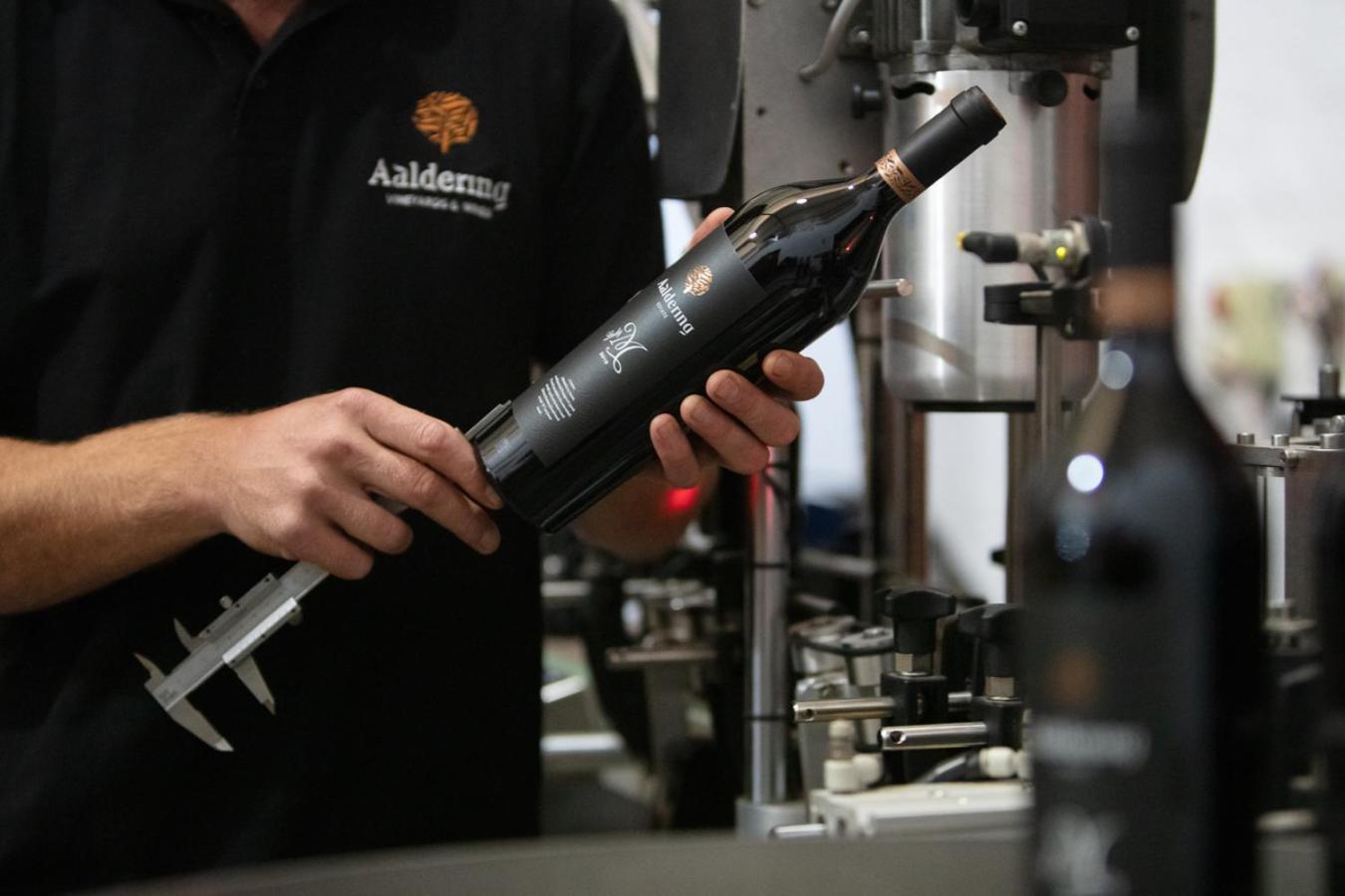 Aaldering Luxury Lodges Stellenbosch Dış mekan fotoğraf